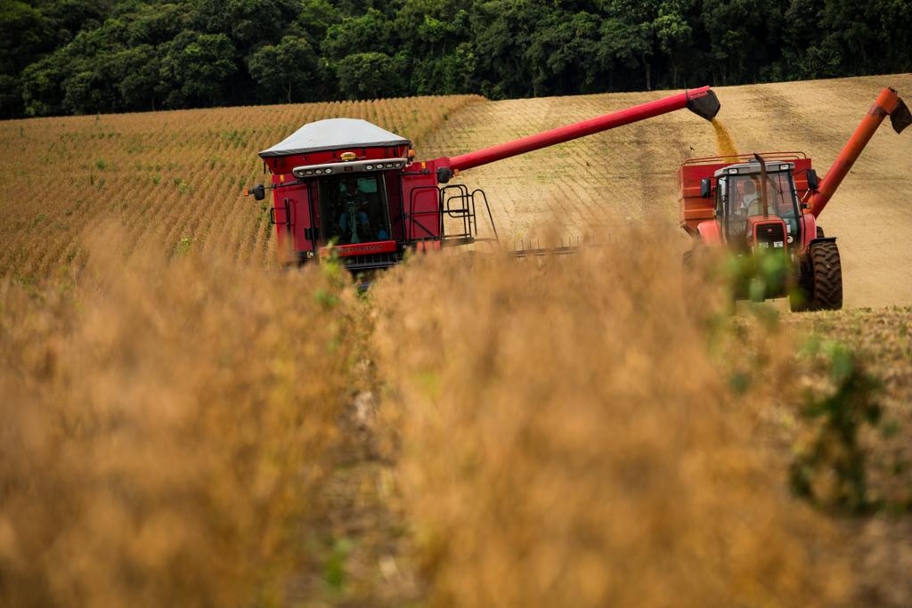 Com relação à balança comercial agrícola, de 1990 a 2013, o Brasil saltou de US$ 7 bilhões para US$ 76 bilhões em receita | Brunno Covello/Gazeta do Povo
