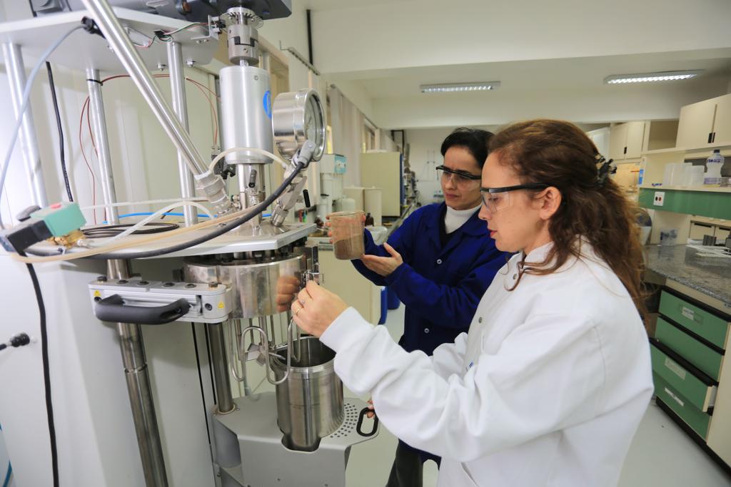 A categoria cobra, além do reajuste com reposição das perdas salariais, avanços nas garantias sociais e reconhecimento de todo o trabalho feito pelos funcionários. | Ivonaldo Alexandre/Gazeta do Povo