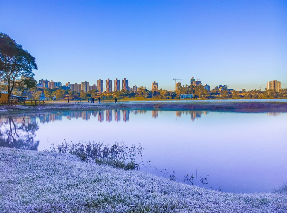 Parque Barigui coberto pela geada | Eduardo Pioli Alberti/Arquivo Pessoal