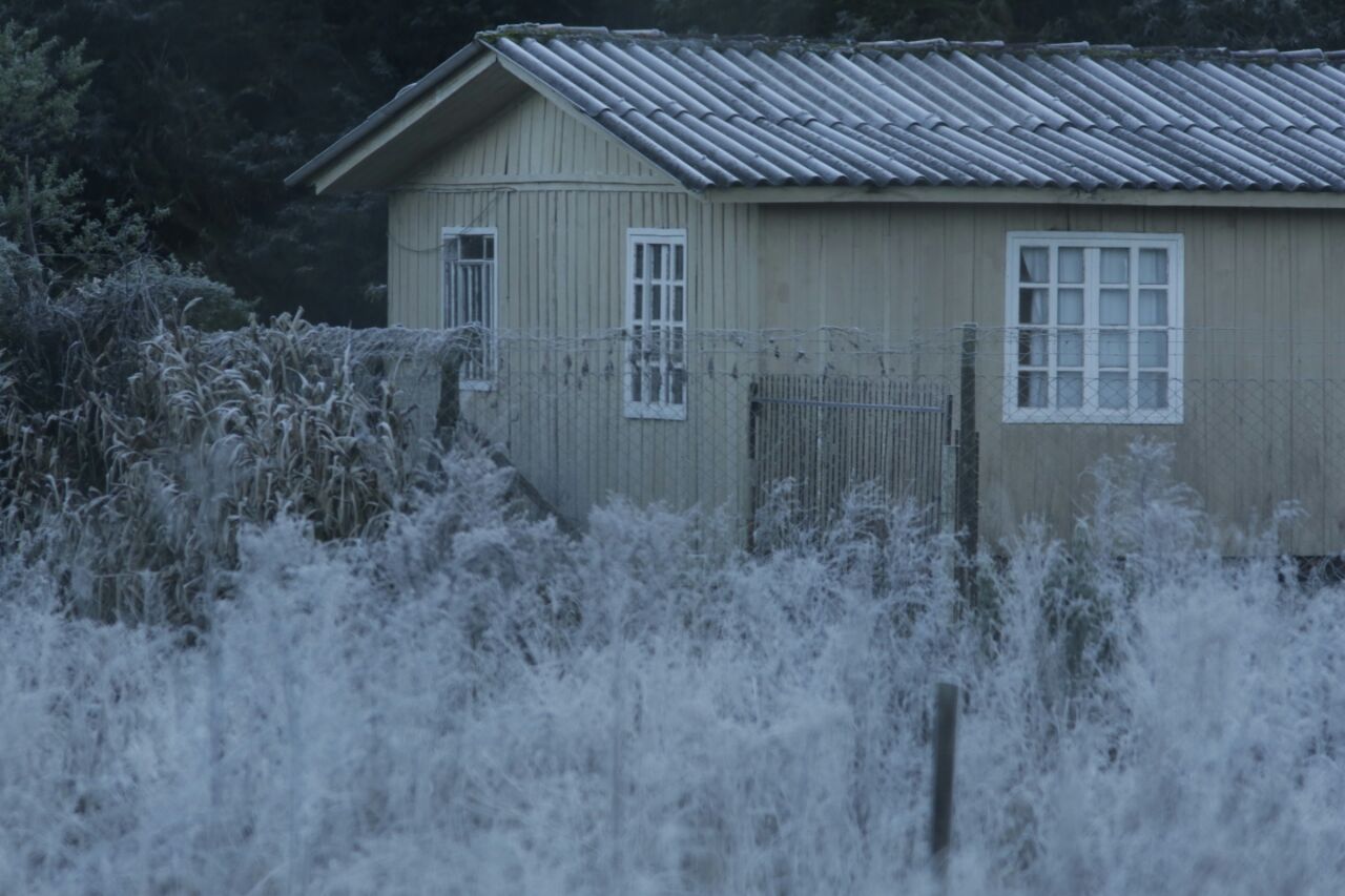 | Lineu Filho/Gazeta do Povo