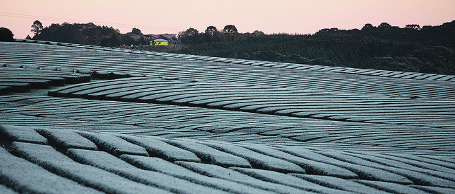Uma massa de ar frio polar avança pelo estado. Frio será intenso na quinta-feira (9) e no domingo (12). | JONATHAN CAMPOS/Agência de Notícias Gazeta do Povo