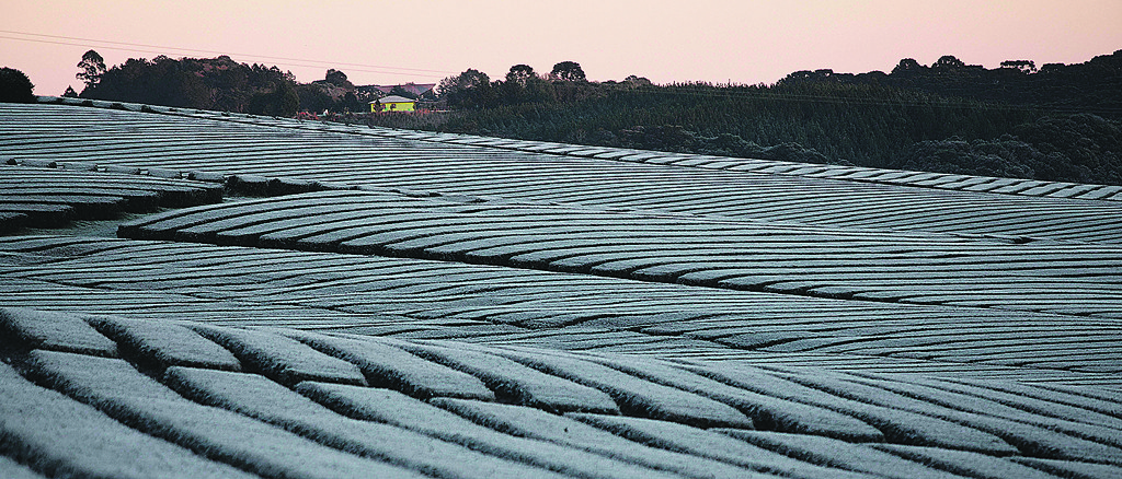Uma massa de ar frio polar avança pelo estado. Frio será intenso na quinta-feira (9) e no domingo (12).