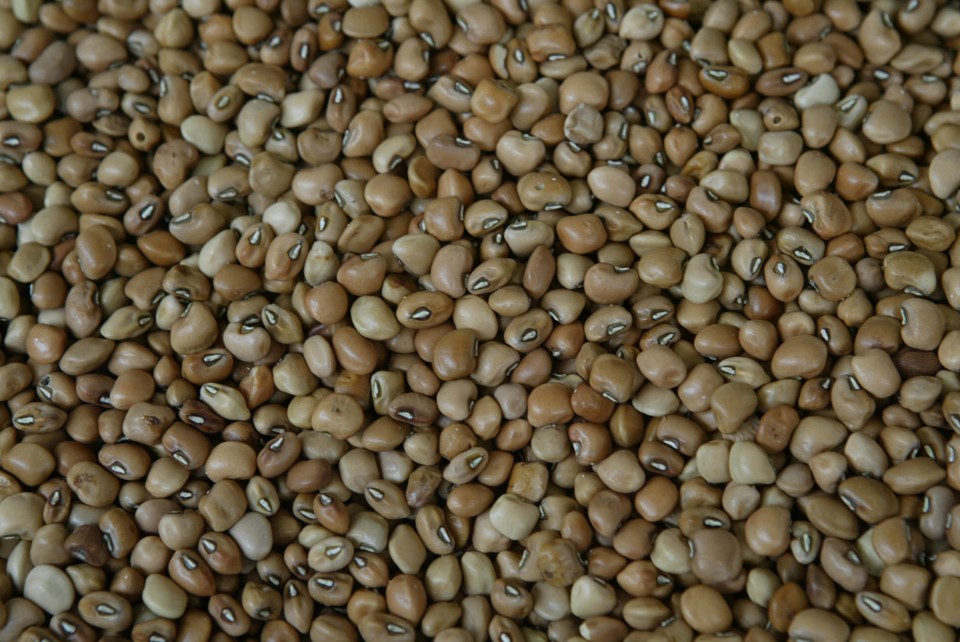 Produtos que compõem a dieta básica da população, como o feijão, refletem rapidamente no orçamento doméstico | ANIELE NASCIMENTO/ANIELE NASCIMENTO