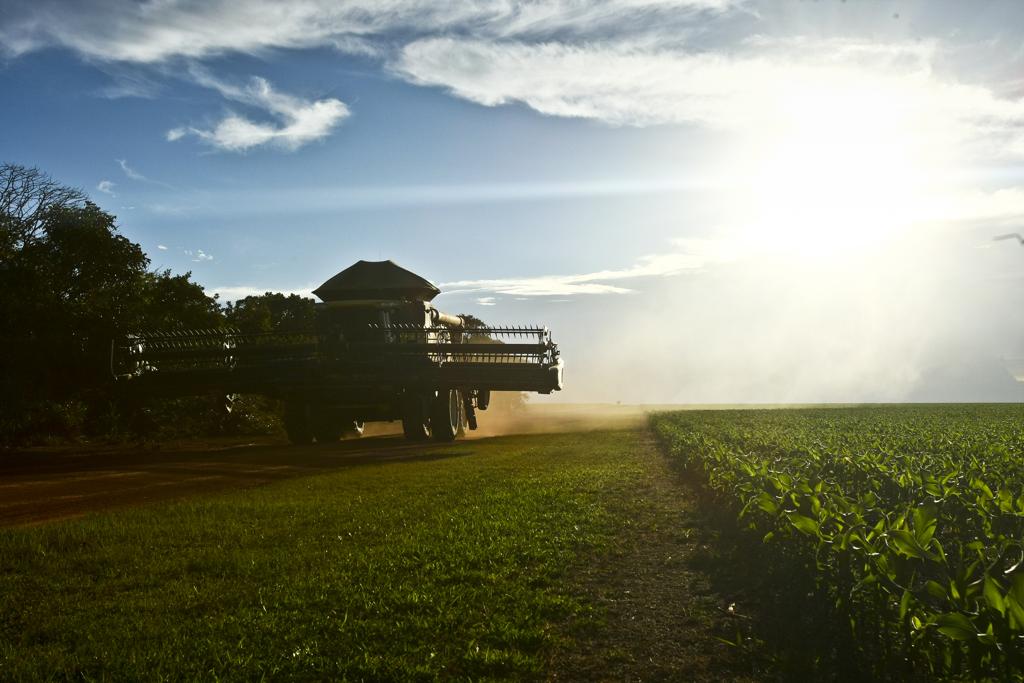 | ANDRE RODRIGUES/ANDRE RODRIGUES