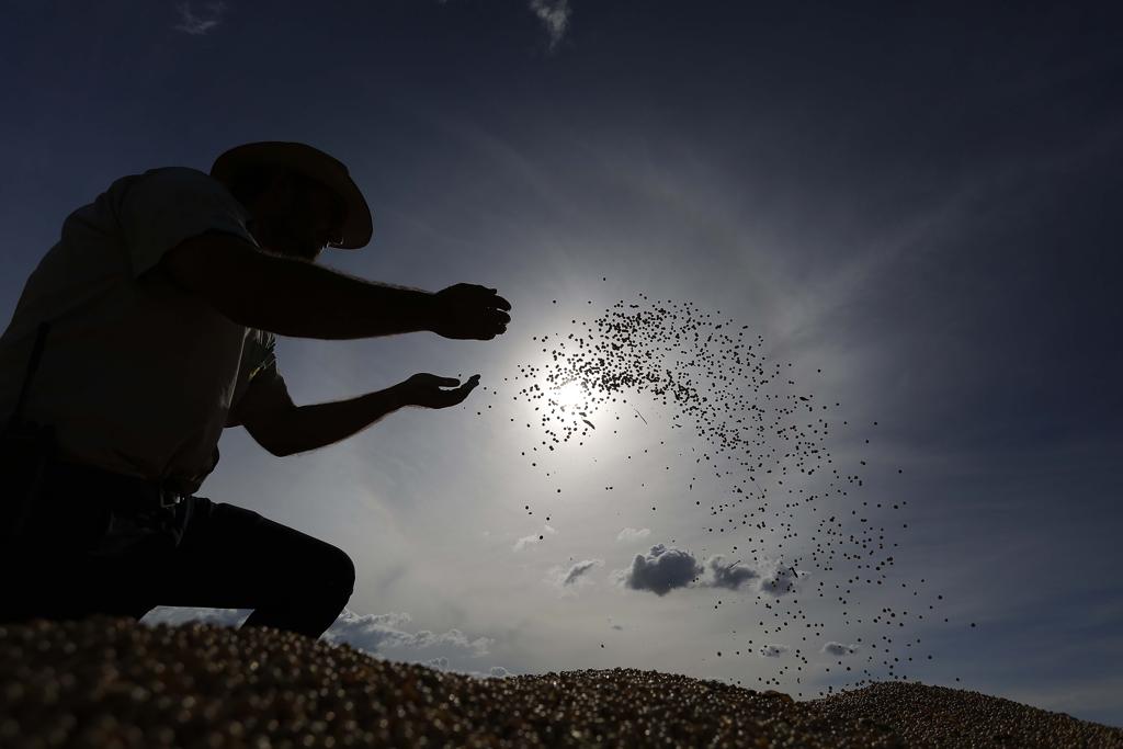 Competição no campo gera aumento de produtividade. | Jonathan Campos/Gazeta do Povo