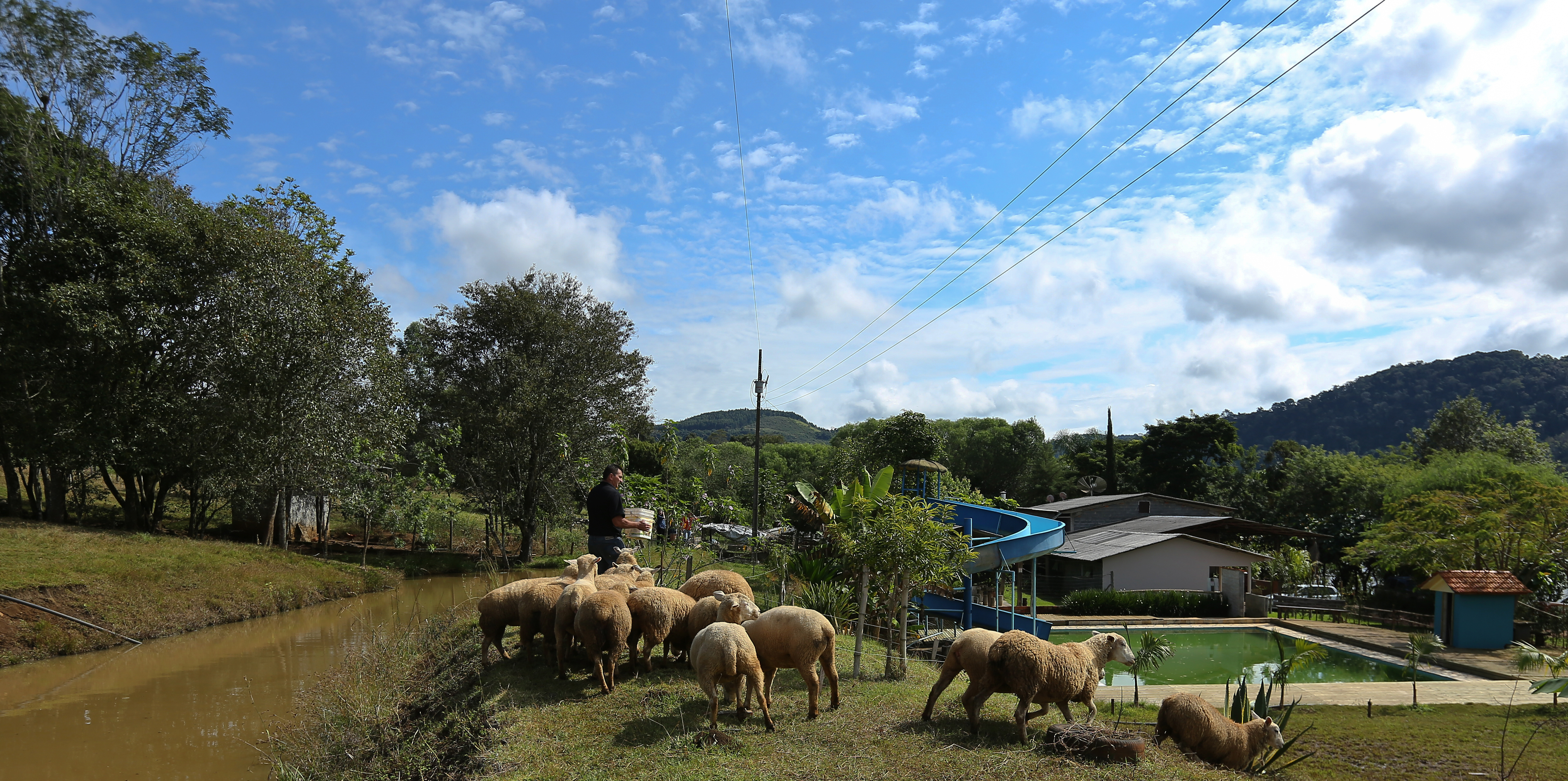 O turismo rural foi a saída para manter a renda da família D’Agostini no Recanto do Repolho. | Giuliano Gomes/Emater