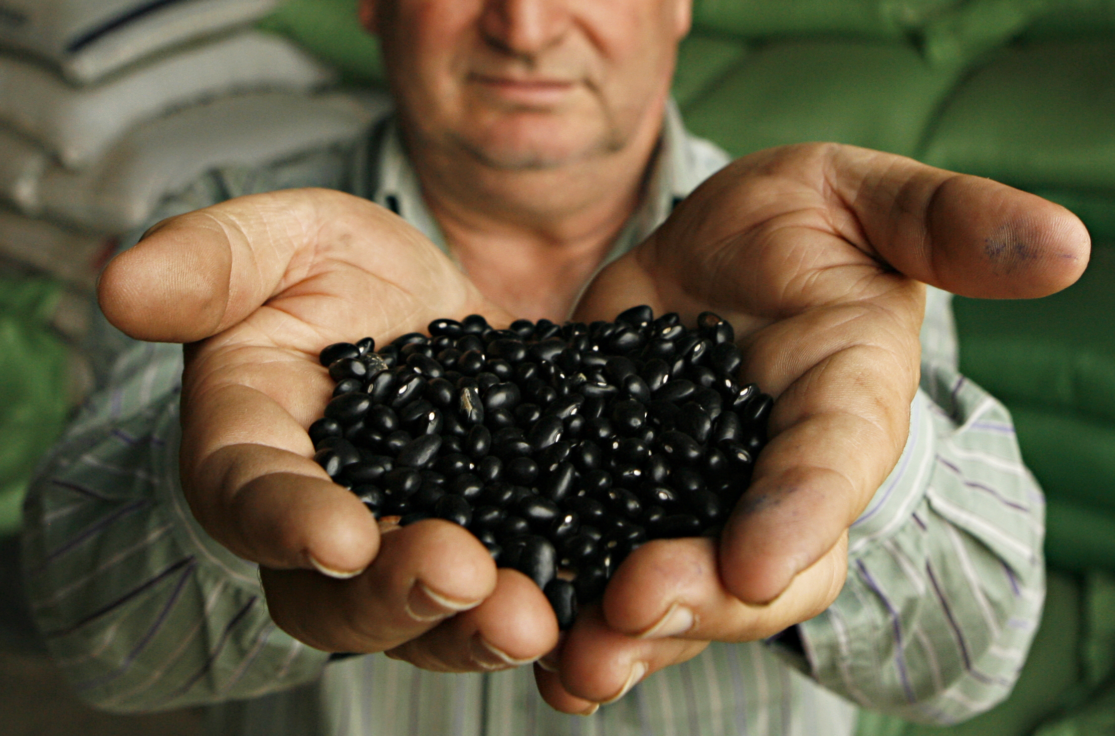 Segundo o IBGE, que mede a variação nas capitais, o preço do feijão subiu 33,49% no ano até maio e 41,62% em 12 meses. | Josue Teixeira/Josue Teixeira