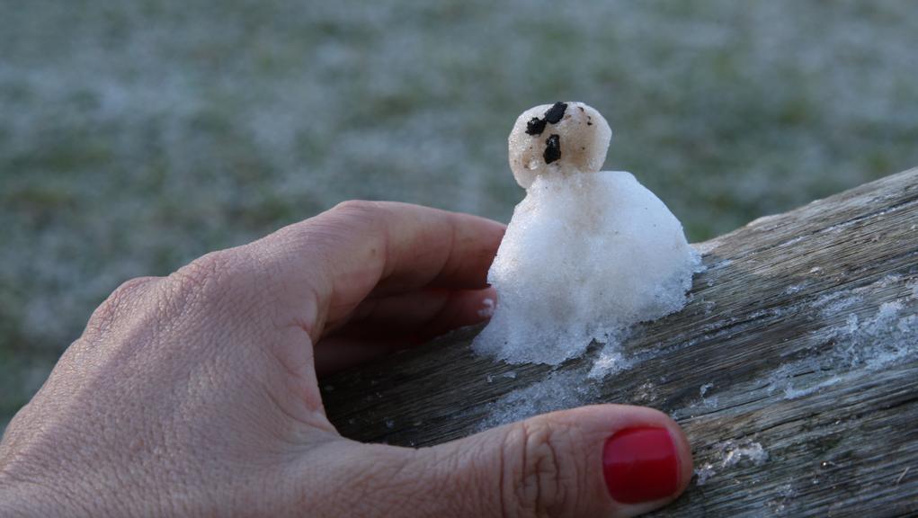 Curitiba teve geada neste sábado. Fenômeno deve se repetir no domingo em quase todo o estado. | Aniele Nascimento/Gazeta do Povo