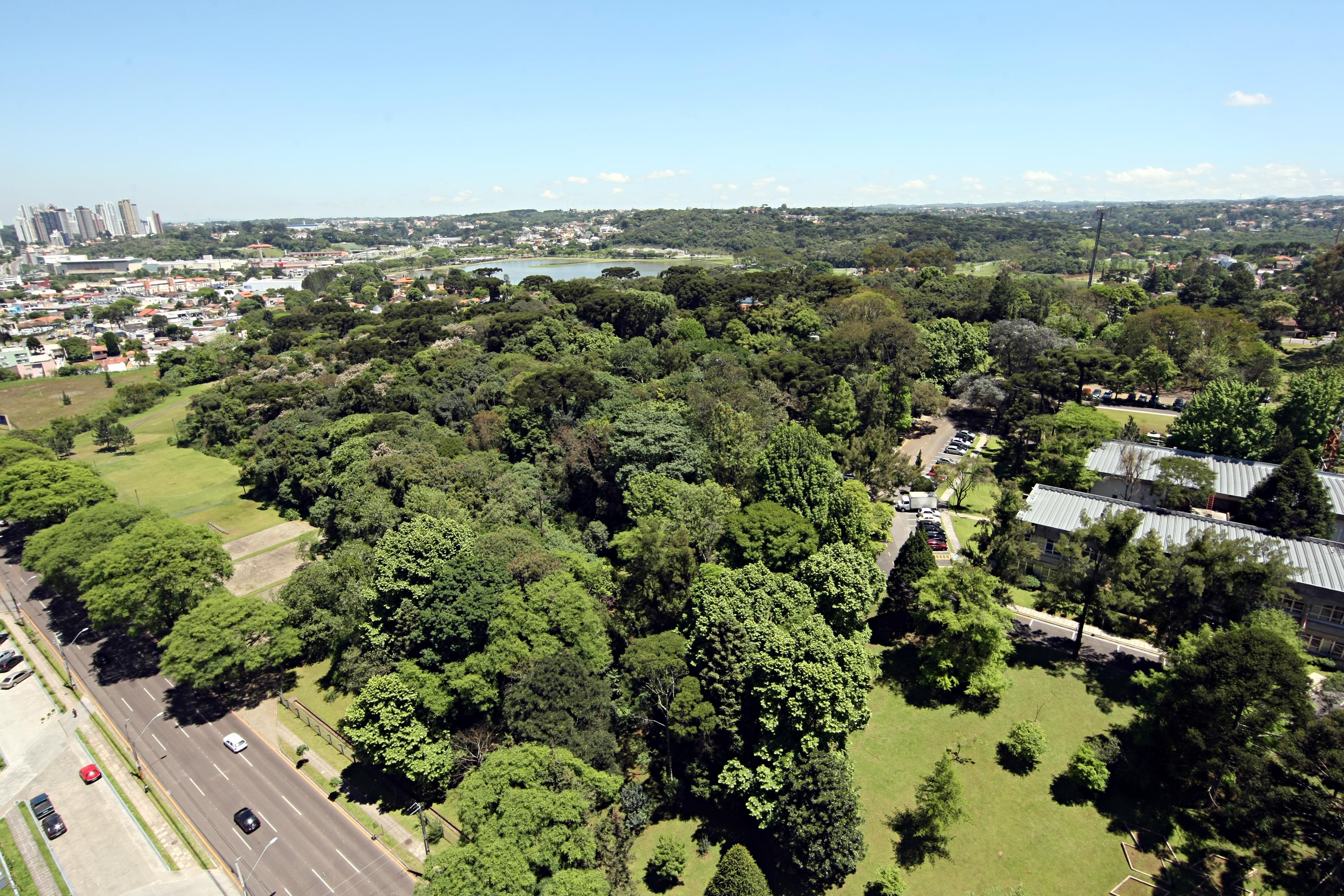 | ALBARI ROSA/ALBARI ROSA