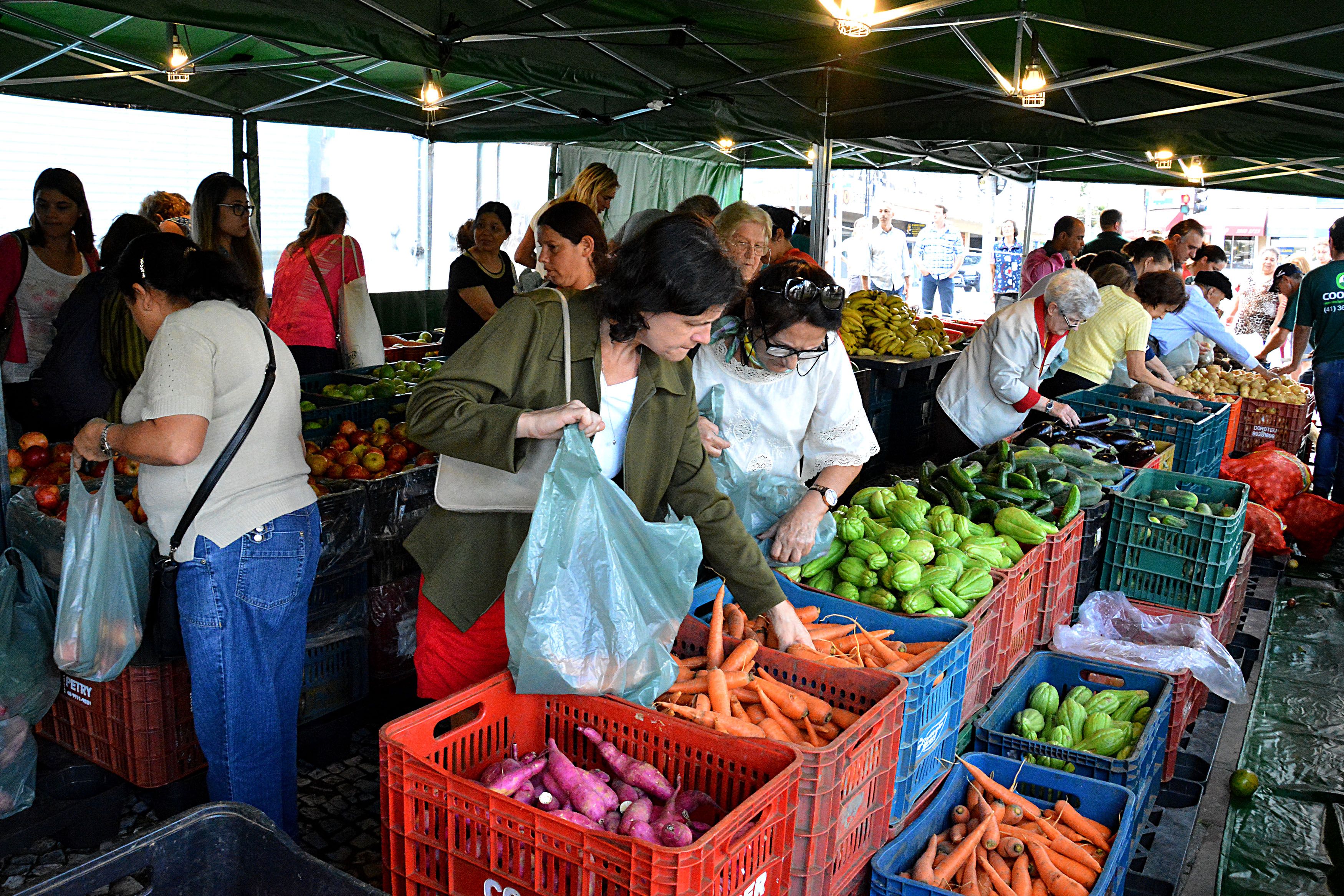 O programa Nossa Feira passa a contar com 20 pontos de vendas | Divulgação/Prefeitura Curitiba