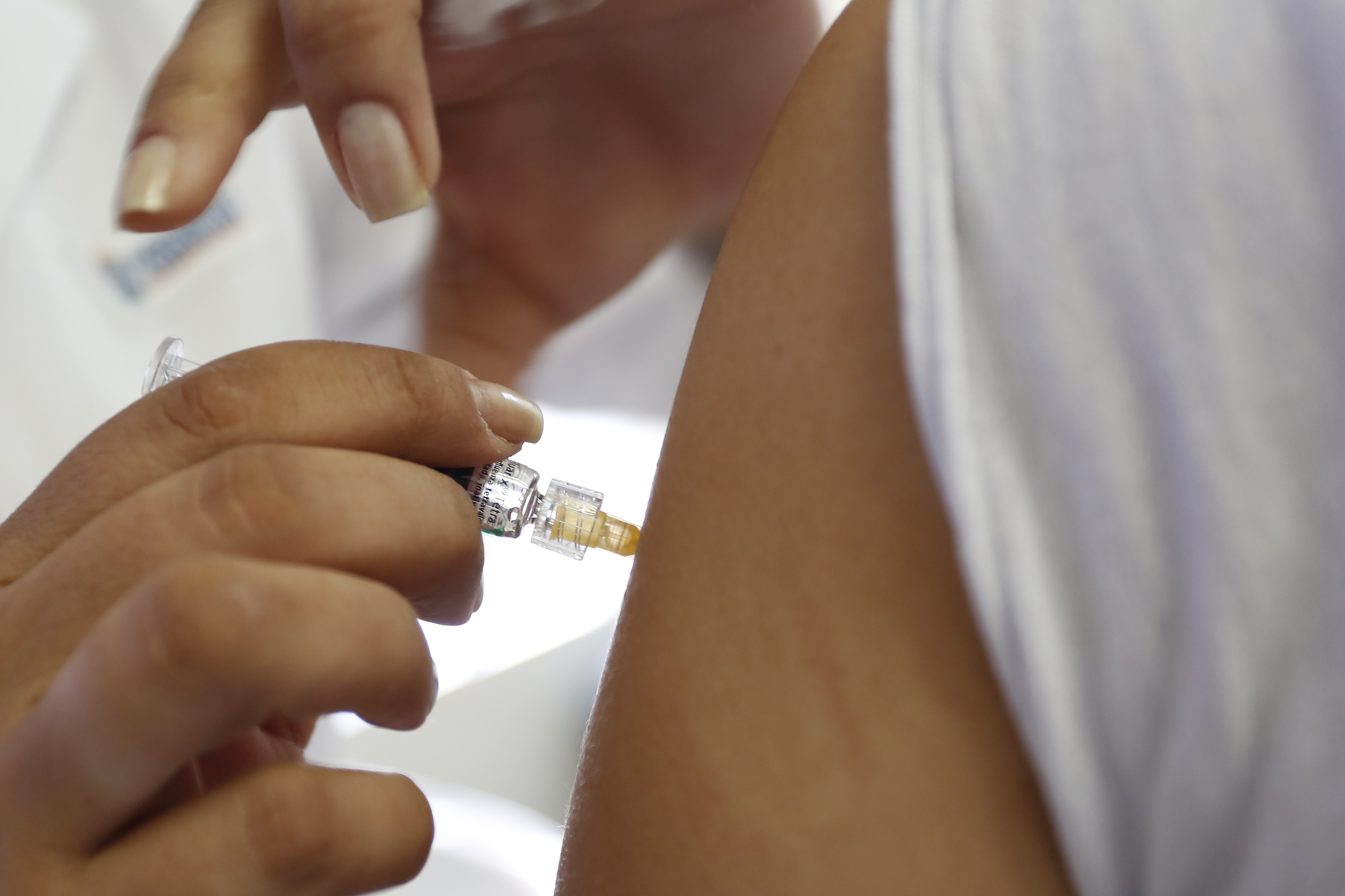  | Henry Milleo/Gazeta do Povo