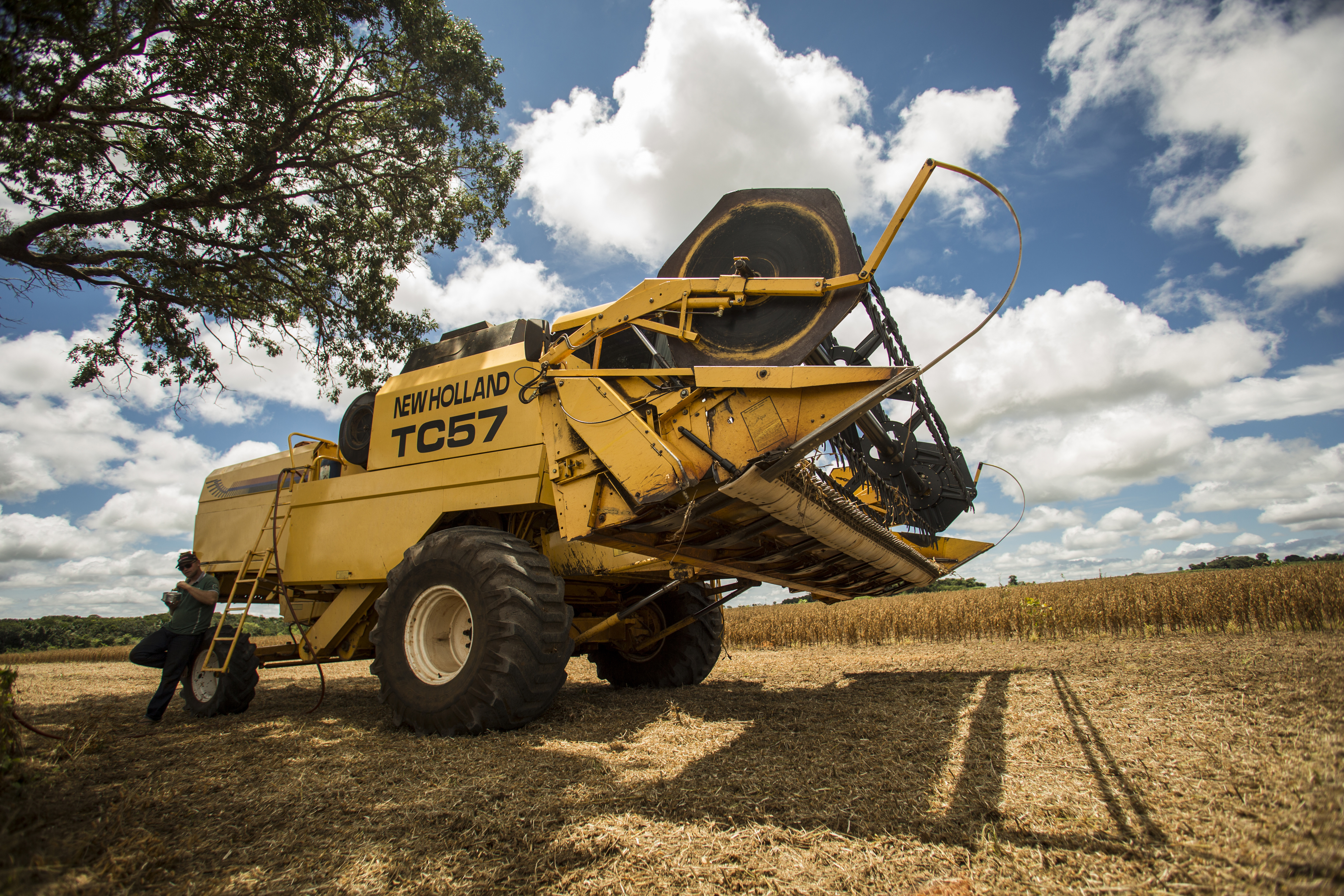 A agropecuária inglesa é pequena e o Brasil pode ampliar as vendas externas ao Reino Unido, sem a pressão de outros países agrícolas da UE, como a França | Marcelo Andrade/Gazeta do Povo