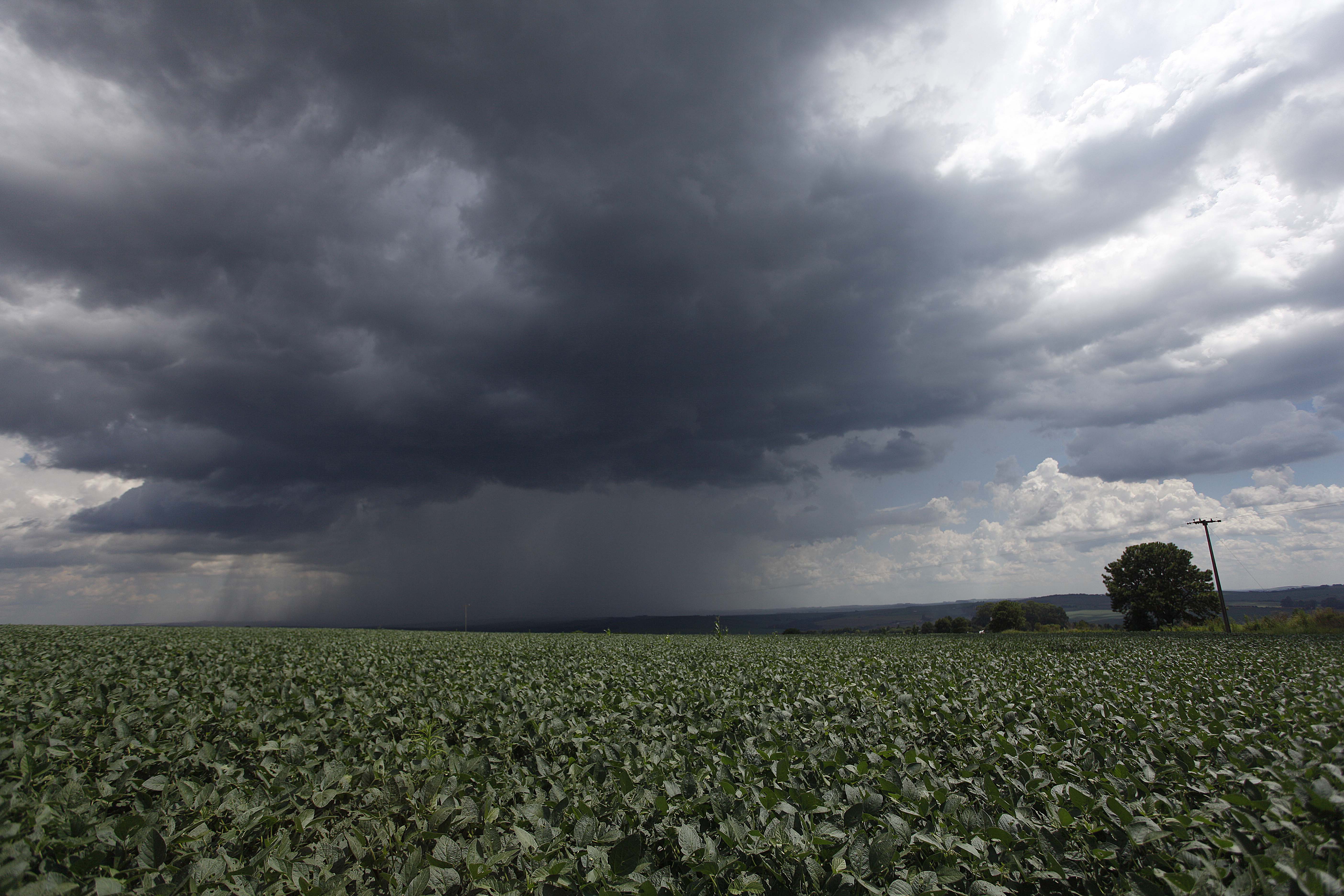 | JONATHAN CAMPOS / AGENCIA DE NOT/JONATHAN CAMPOS / AGENCIA DE NOT