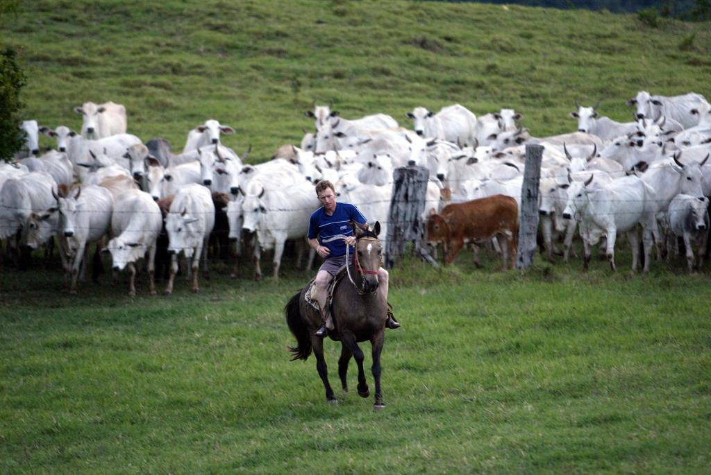 O produtor pode baixar o “app” pela PlayStore de qualquer celular Android e, em breve, também estará disponível pelo App Store, da Apple | ALBARI ROSA/ALBARI ROSA