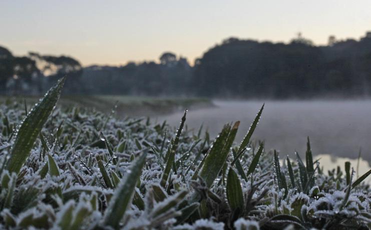 | Jonathan Campos/Gazeta do Povo