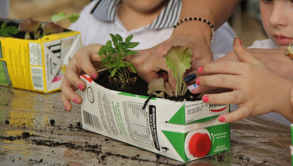 O projeto é promovido pela Esalflores e pela Mercadoteca de Curitiba | Divulgação/