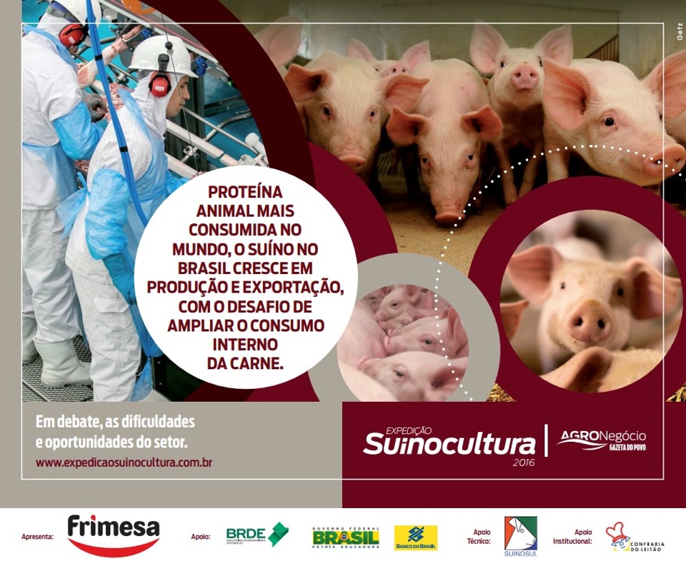 Peça da campanha da  Expedição Suinocultura 2016. | /