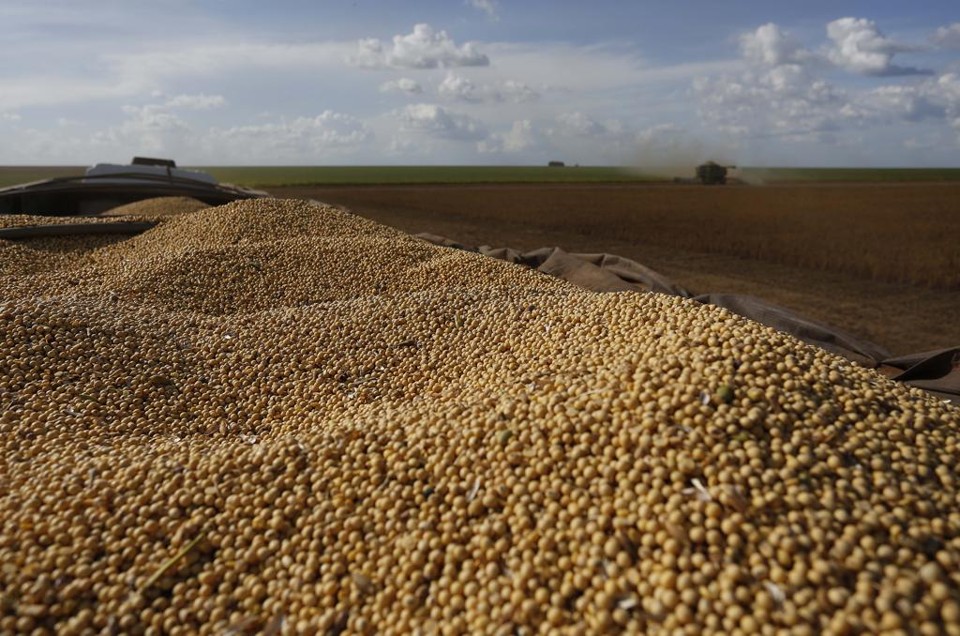 O arroz, o milho e a soja - os três principais produtos da safra nacional - respondem por 87,4% da área a ser colhida e 92,4% da estimativa da produção. | /