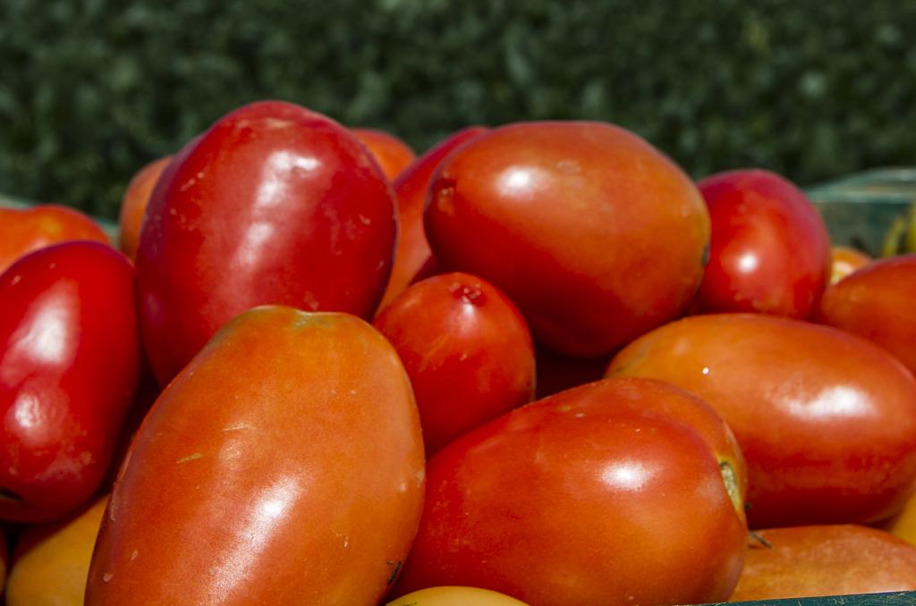 | Jonathan Campos/Gazeta do Povo