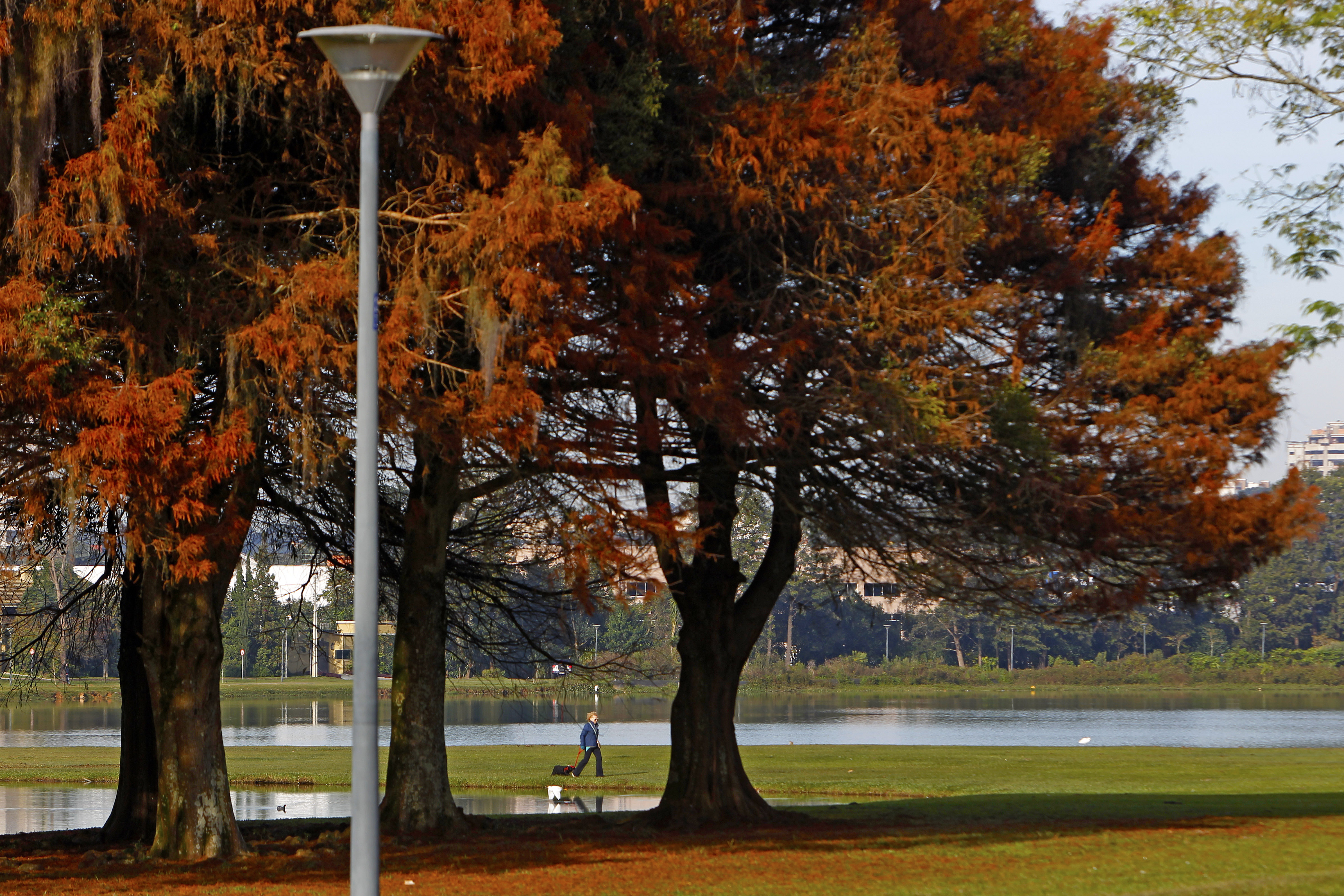  | Antônio More/Gazeta do Povo