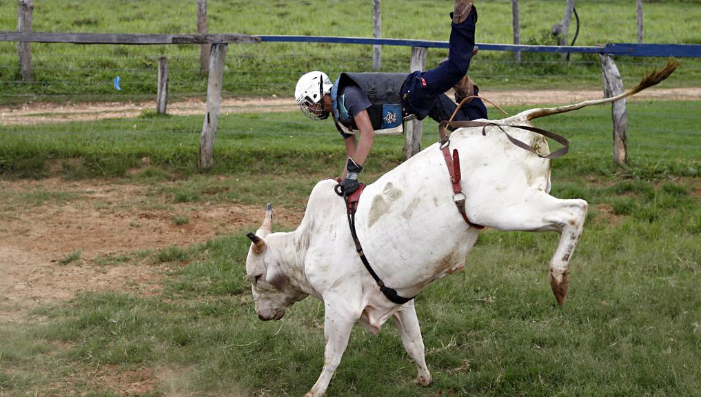  | Albari Rosa/Gazeta do Povo