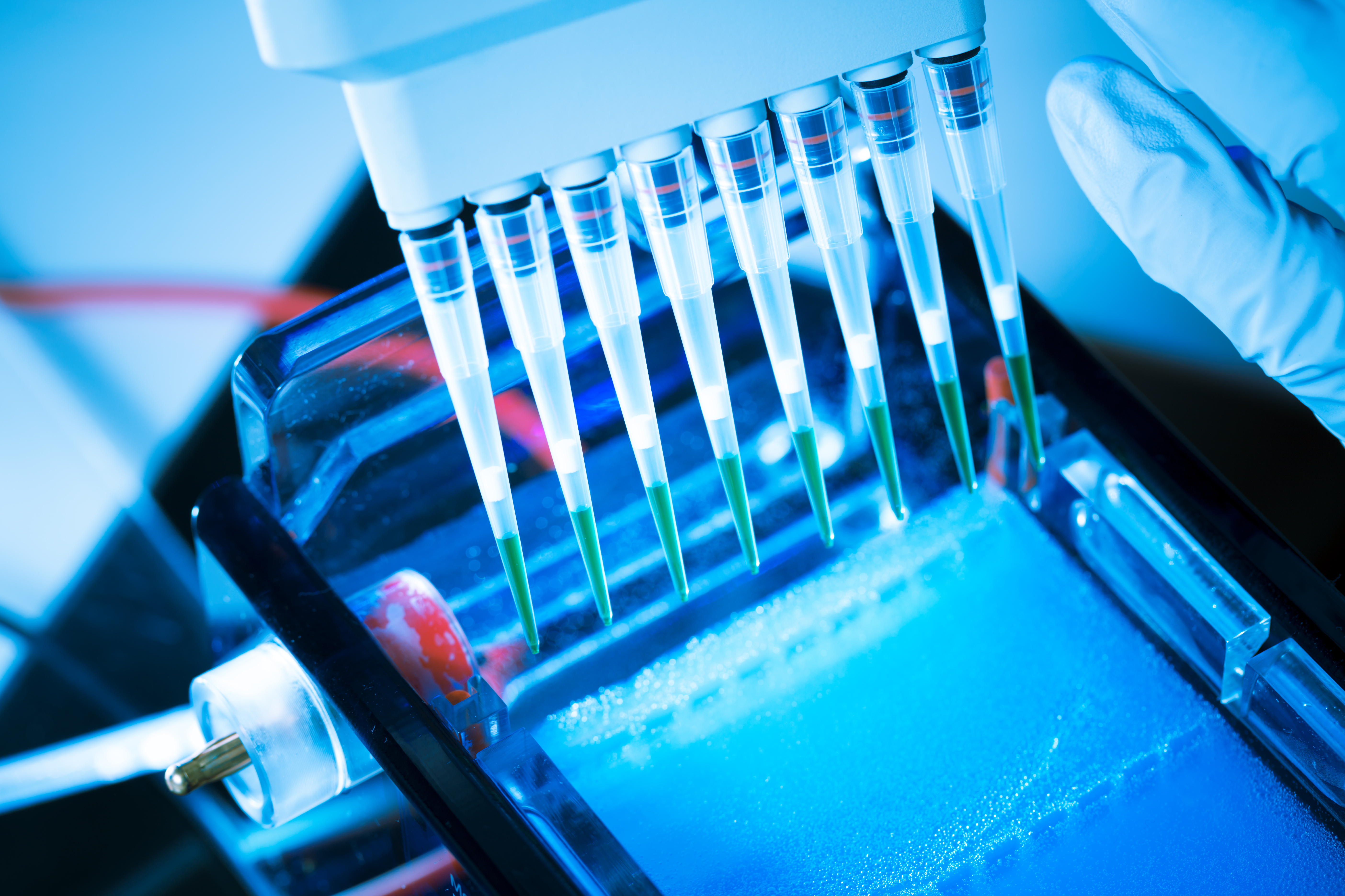 Imagem ilustrativa. Foto: Bigstock | Bigstock/