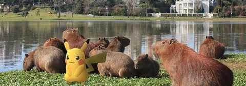 Pokémon Go tem data para chegar ao Brasil Estimativa era que o jogo estivesse disponível no início de agosto. | /Divulgação
