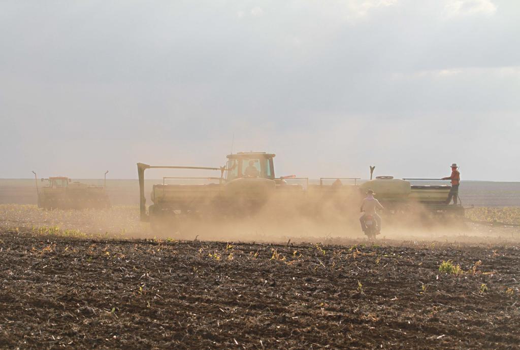 Neste ano, o prejuízo superou até as previsões mais pessimistas. | Arquivo/Gazeta do Povo
