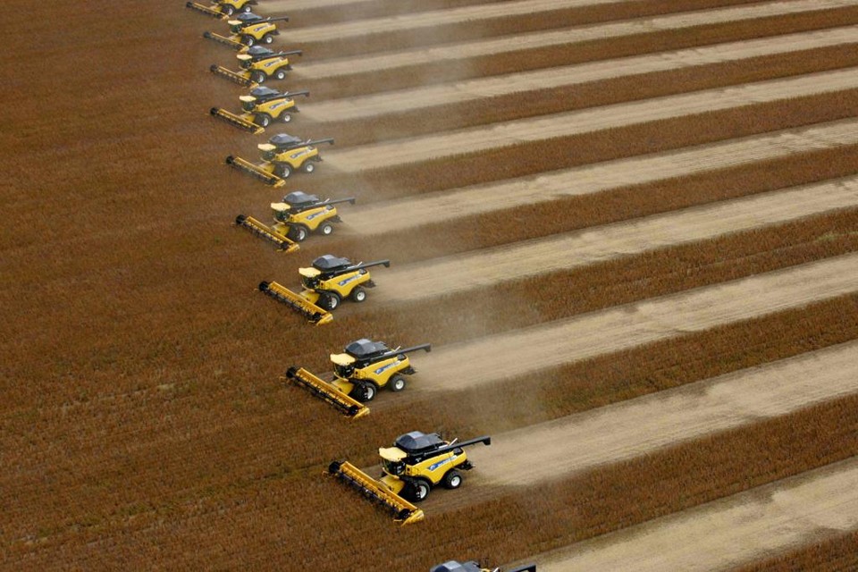 Os cientistas pedem aos governos que façam “tudo que estiver ao alcance para barrar as ações do Greenpeace e acelerar o acesso de fazendeiros às ferramentas da biologia moderna”. | Arquivo/Gazeta do Povo