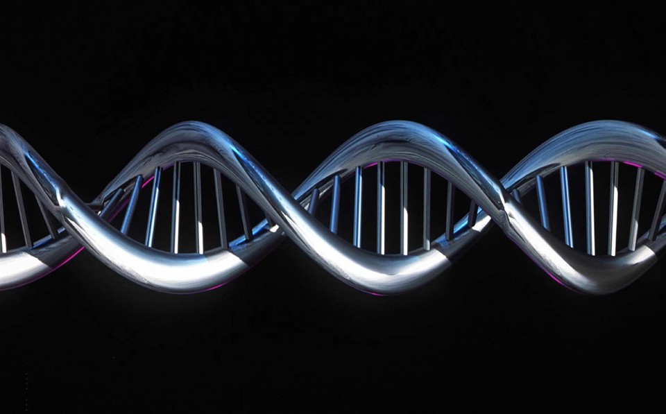 Pesquisadores analisaram amostras de DNA de mais de 3,1 mil mulheres em um estudo de 15 anos sobre mulheres pós-menopausa | AFP PHOTO/WELLCOME TRUST