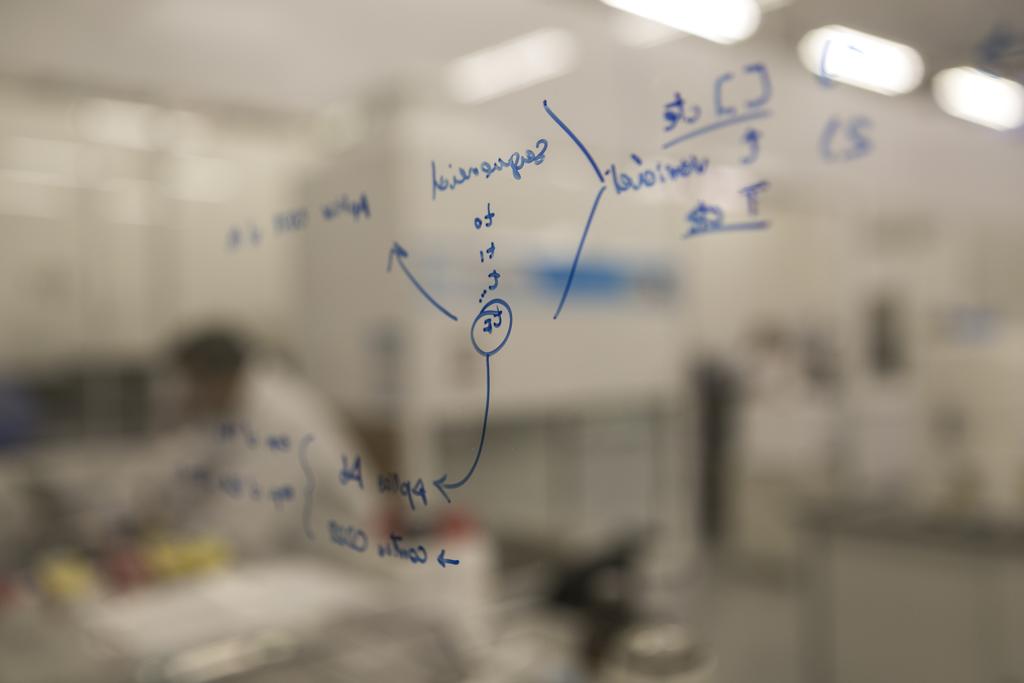  | Marcelo Andrade/Gazeta do Povo