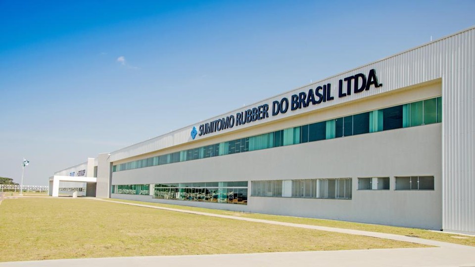 | Divulgação