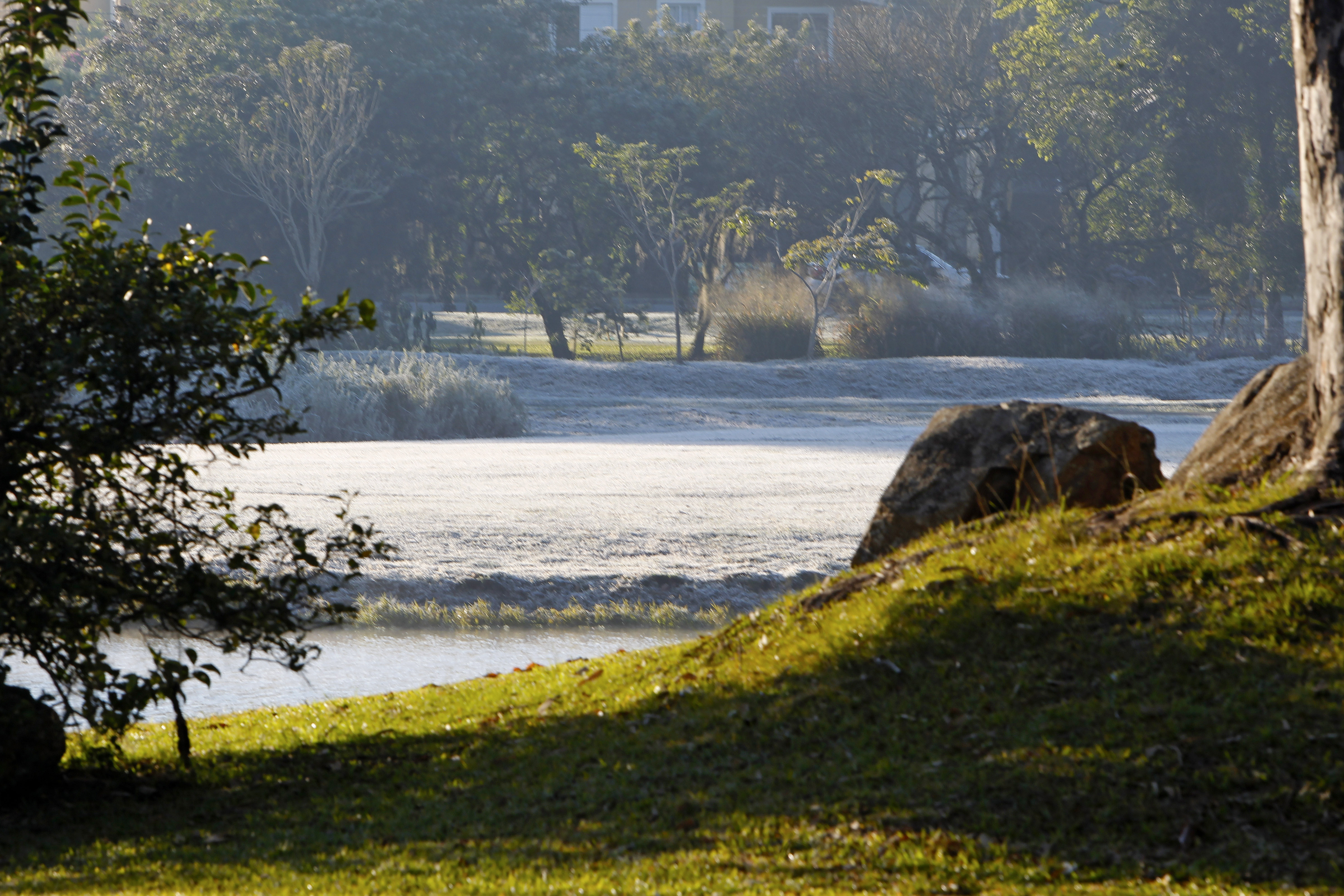  | Antônio More/Gazeta do Povo