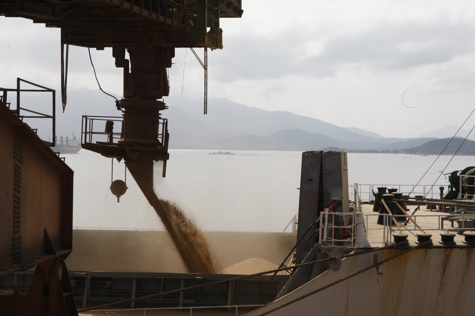 Com peso importante nas exportações, os produtos da agropecuária estão aumentando o saldo comercial do País. E as empresas estão contratando. | Aniele Nascimento/Aniele Nascimento