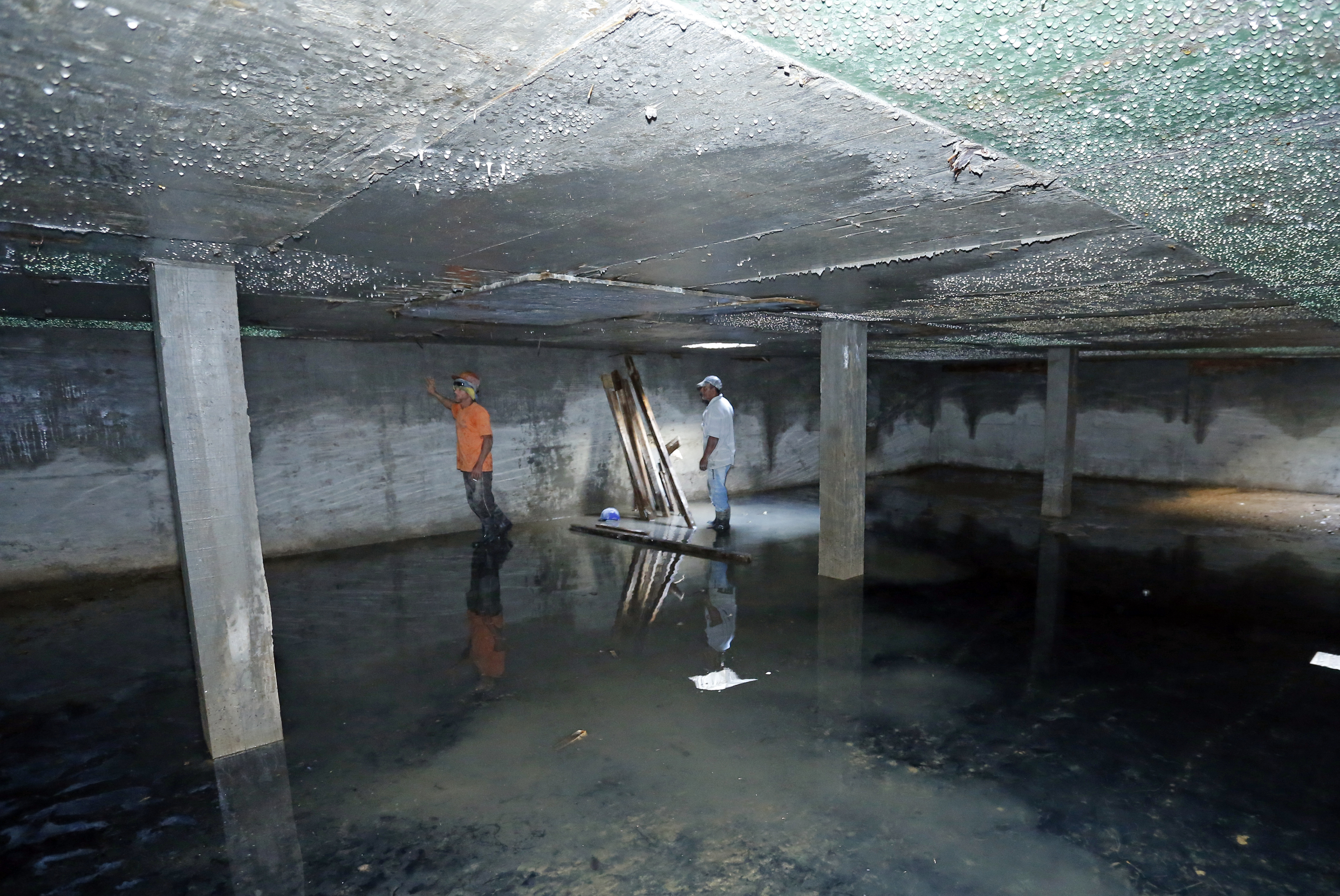 | Hugo Harada/Gazeta do Povo