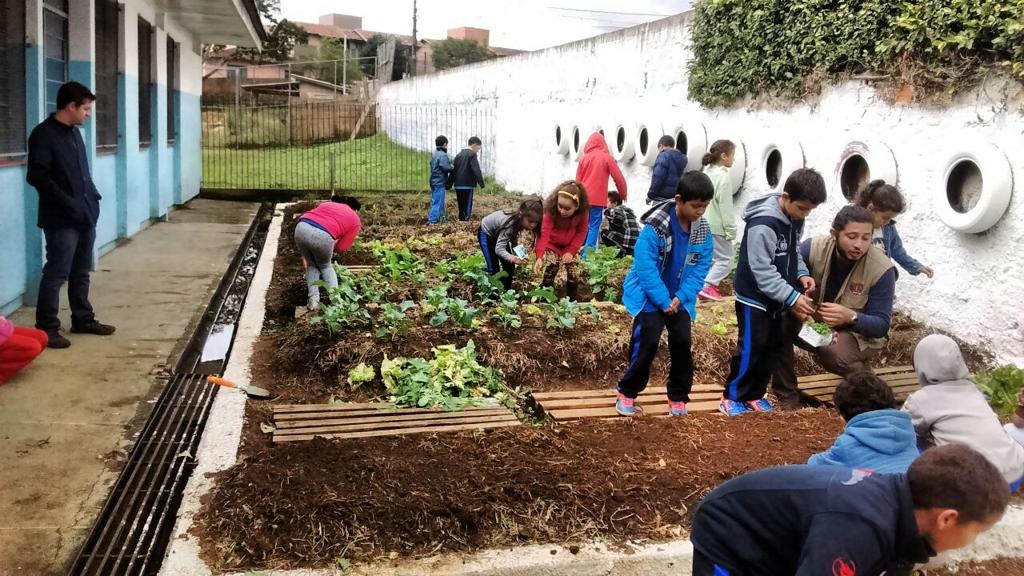 Crianças passaram a comer salada depois de aprenderem a montar e a manter uma horta | Prefeitura/Arquivo