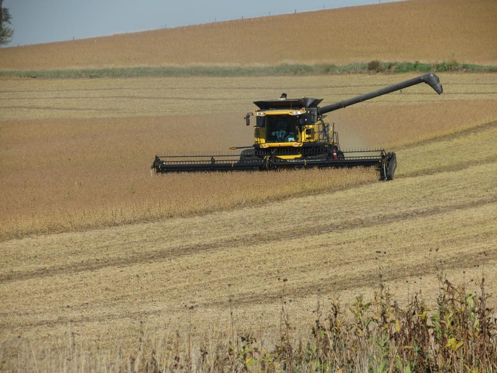 | Arquivo/Gazeta do Povo
