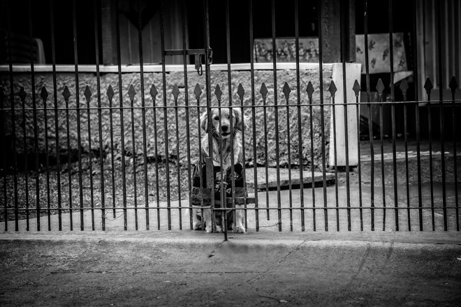 | Jonathan Campos/Gazeta do Povo