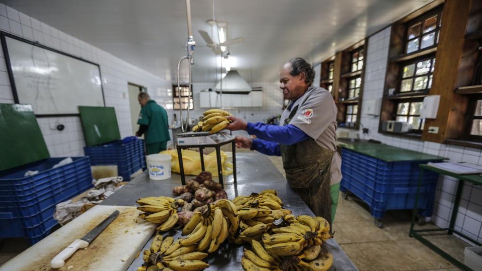 Cardápio especial do zoo de Curitiba tem polenta e até baratas; veja vídeo | Jonathan Campos/Gazeta do Povo