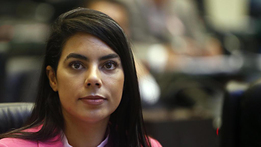 Esposa de Reni Pereira, deputada estadual Claudia Pereira, é suspeita de ser sócia de empresas fantasmas. | Albari Rosa/Gazeta do Povo