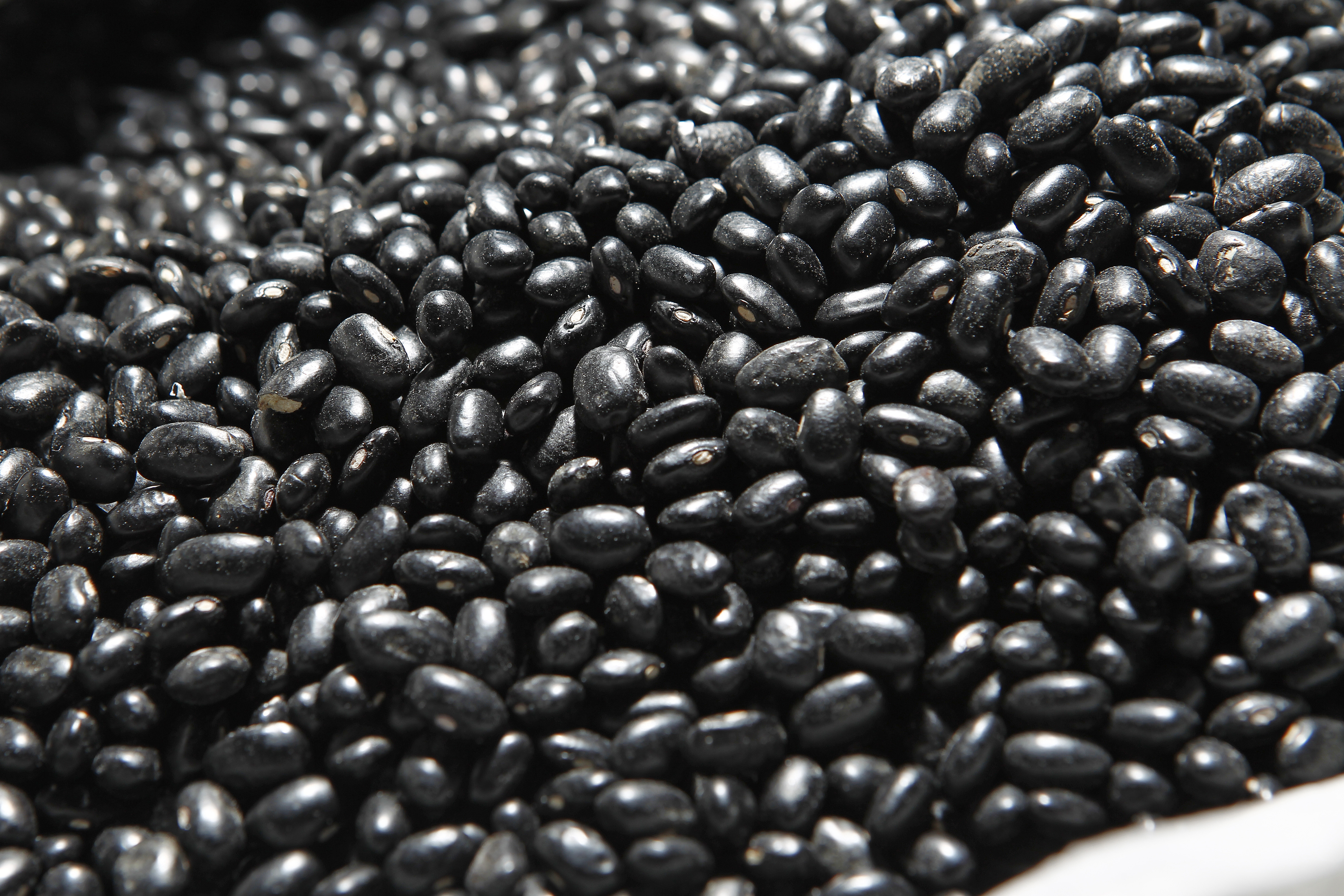 O IBGE projeta para 2016 uma produção total de 2,9 milhões de toneladas nas três safras de feijão ao longo do ano, queda de 6,6% em relação a 2015 | Antônio More/Gazeta do Povo