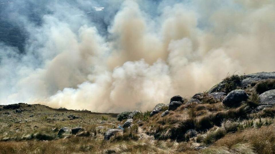 IAP investiga causas de incêndio no Morro do Araçatuba | Grupo de Operações de Socorro Tático PR/Divulgação