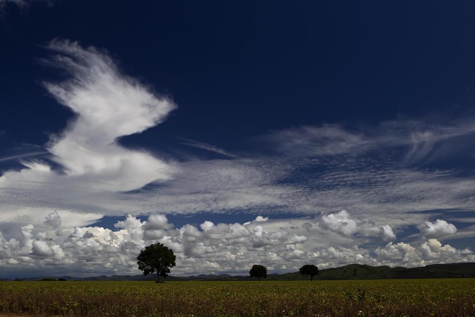 A programação irá contar com 33 palestras em vídeos ministradas por pesquisadores, consultores e economistas especialistas em agricultura. | JONATHAN CAMPOS/GAZETA DO POVO