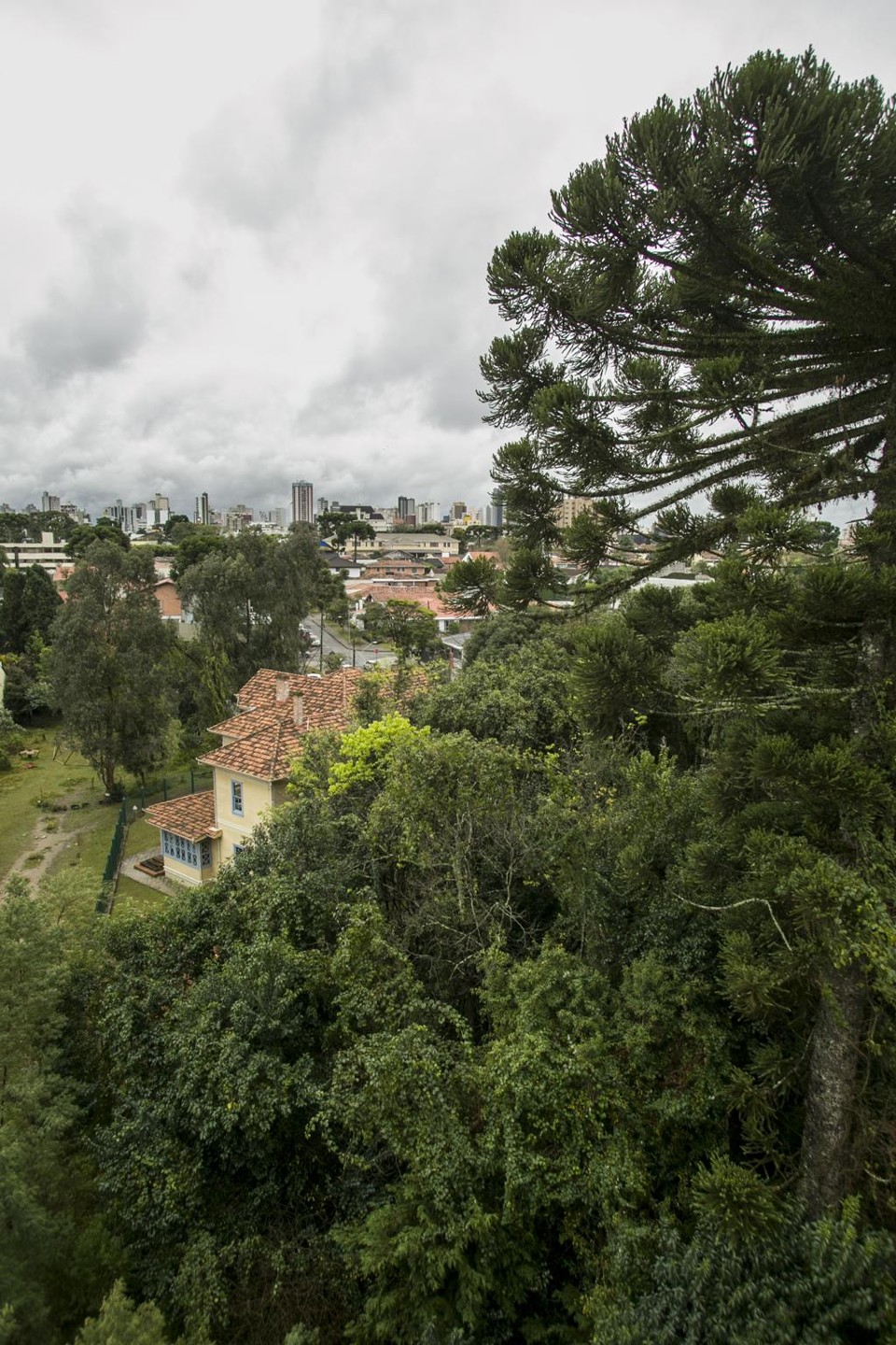 Parque Gomm, em Curitiba, ganhará equipamentos públicos a partir da contrapartida do Shopping Pátio Batel . | Marcelo Andrade/Gazeta do Povo