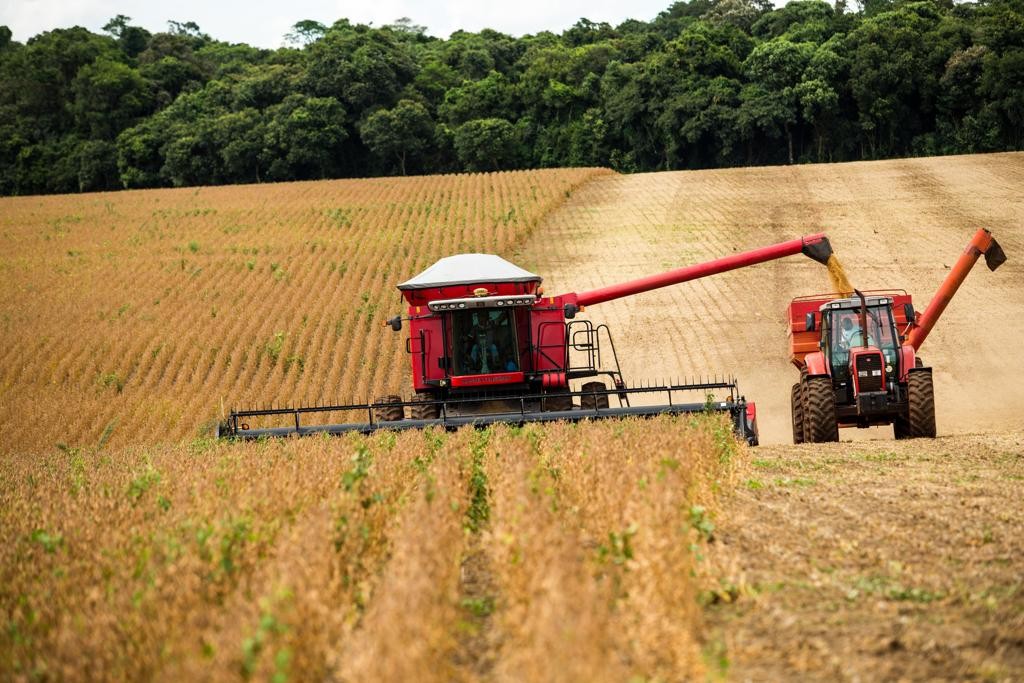Relatório da Onu adverte sobre “a necessidade de estar alerta, já que a possibilidade de grandes flutuações de preços continua sendo elevada”