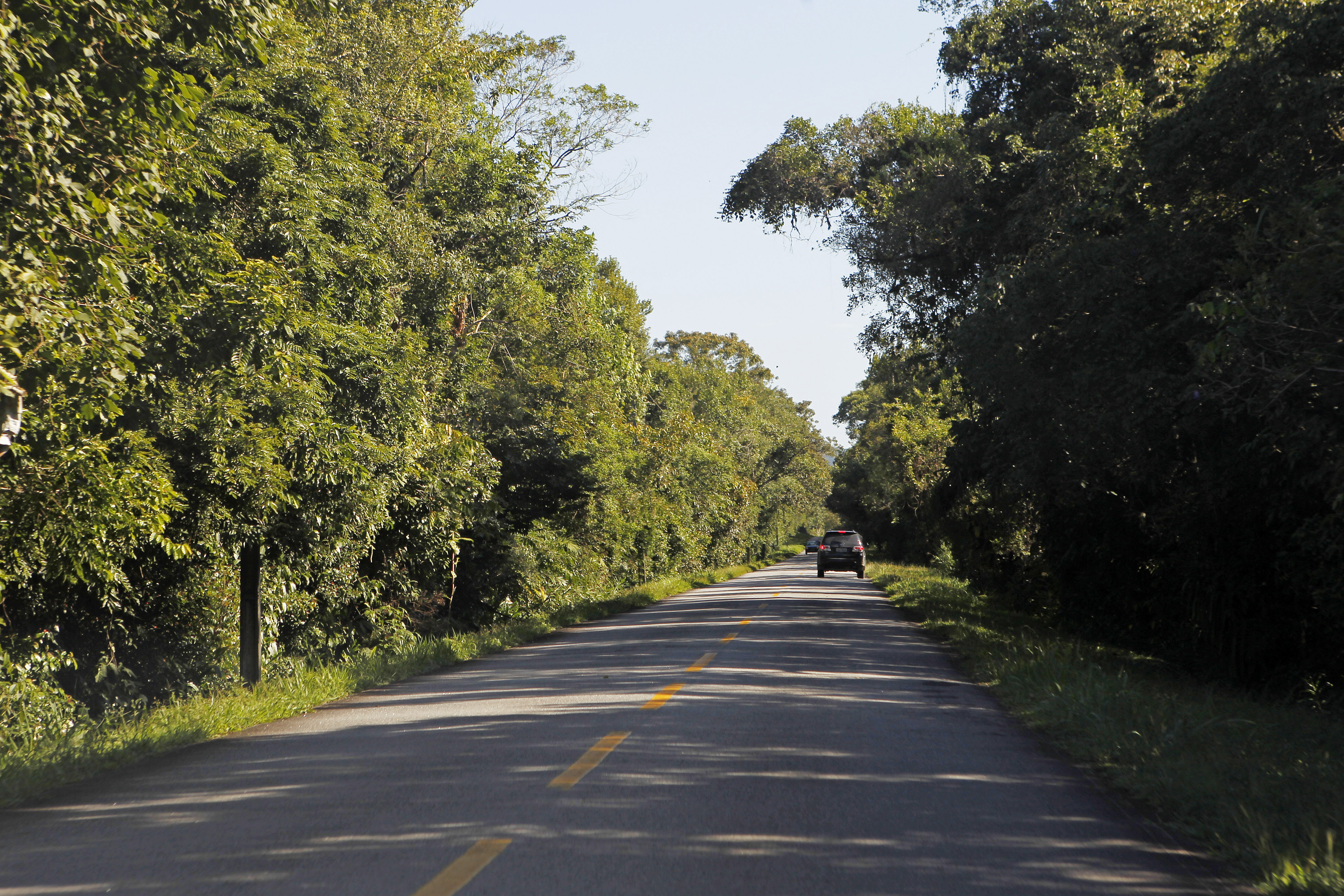 PR-340 pode ganhar novo trecho | Antônio More/Gazeta do Povo