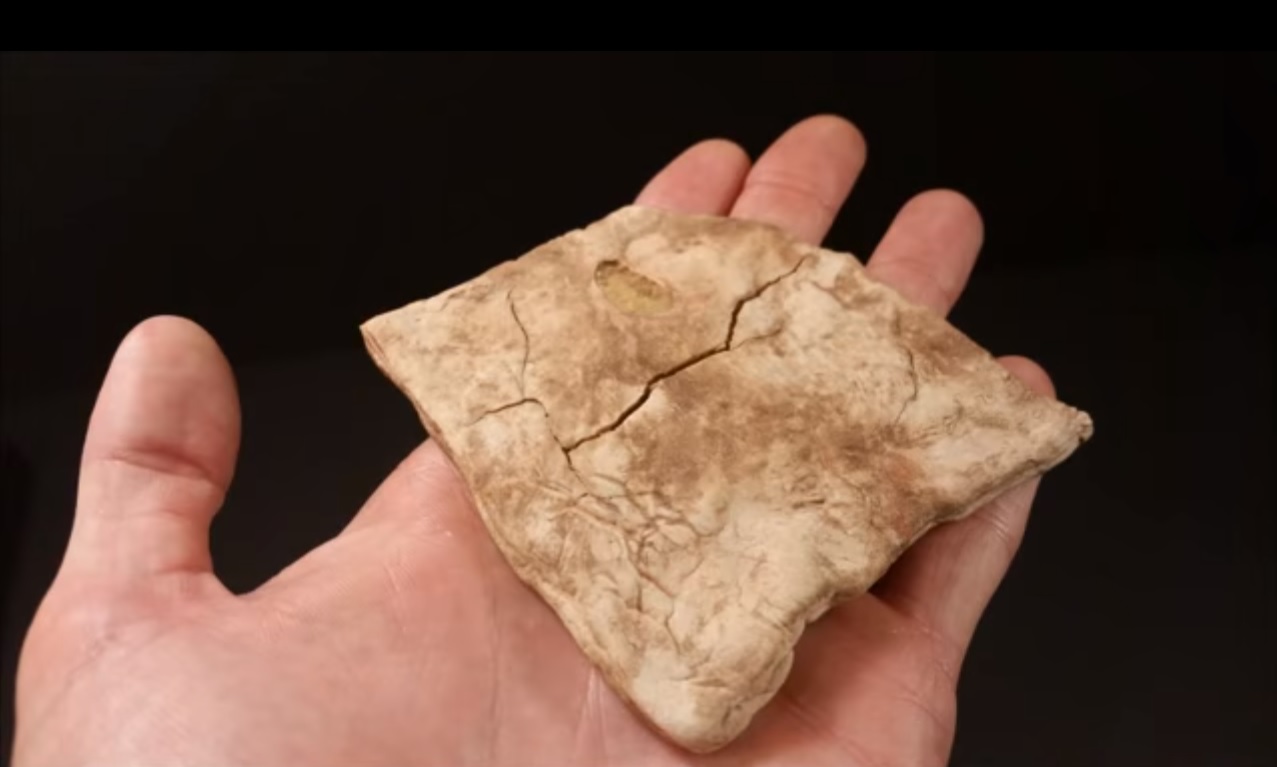 Torrada de 1863 era utilizada como mantimento de soldados na Guerra Civil dos Estados Unidos. | Reprodução/Youtube Steve 1989 MREinfo