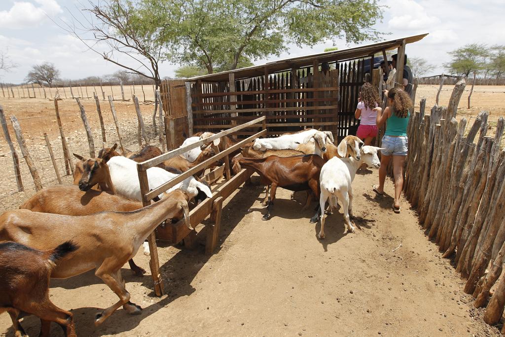 De acordo com dados preliminares da Casa Civil, mais de cem mil beneficiados pela reforma agrária não possuem o registro de suas terras | Jonathan Campos/Gazeta do Povo