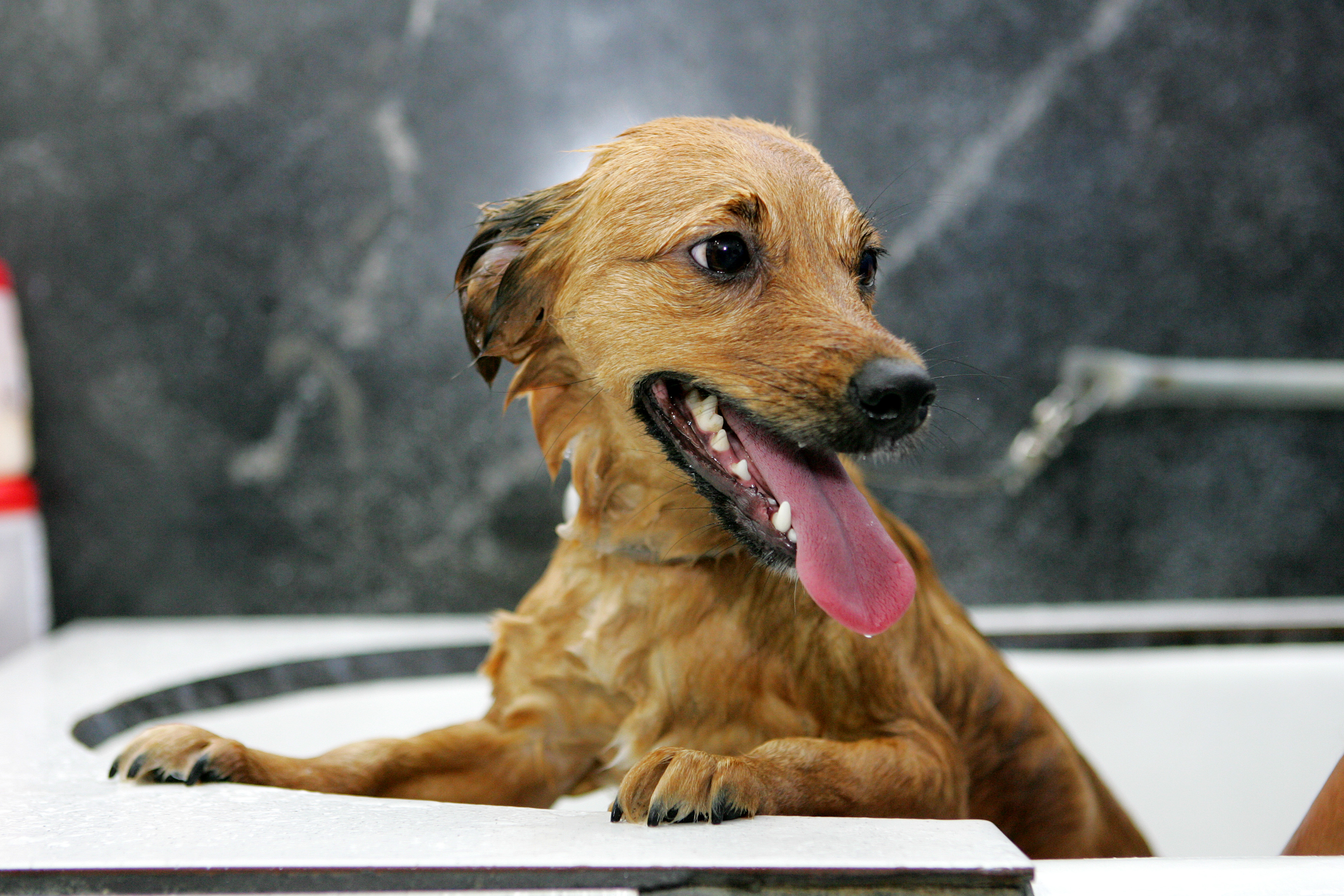 | Antônio More / Arquivo/Gazeta do Povo