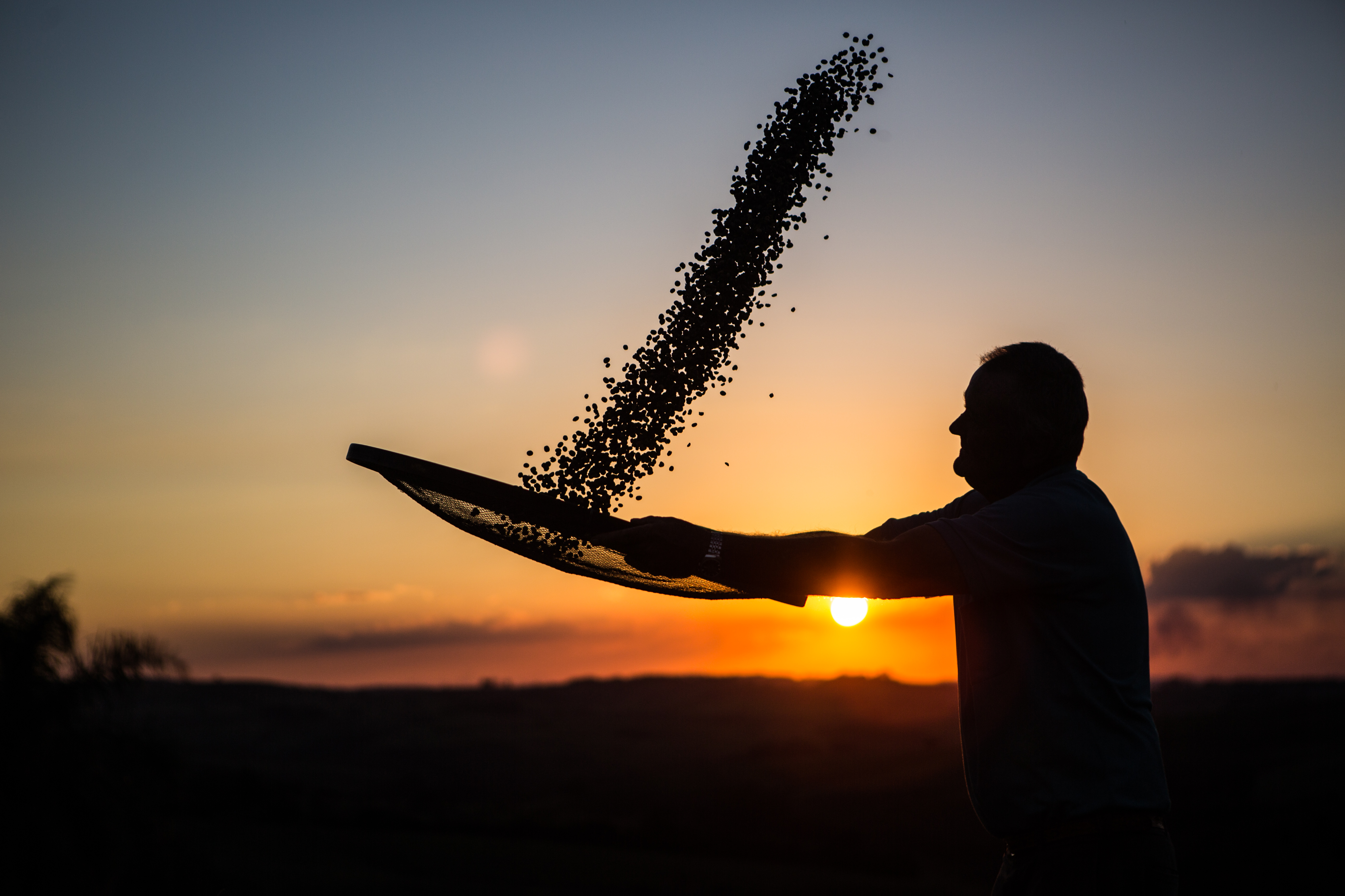 | BRUNNO COVELLO/BRUNNO COVELLO